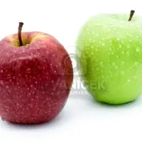 Red and green apple on white background