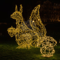 Exposition of 3D light sculptures