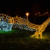 Exposition of 3D light sculptures
